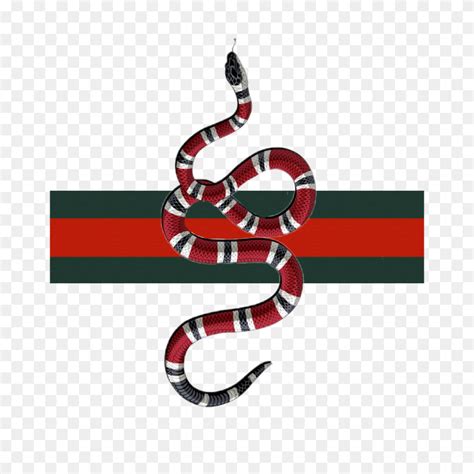 gucci snake senza sfondo|gucci snake meaning.